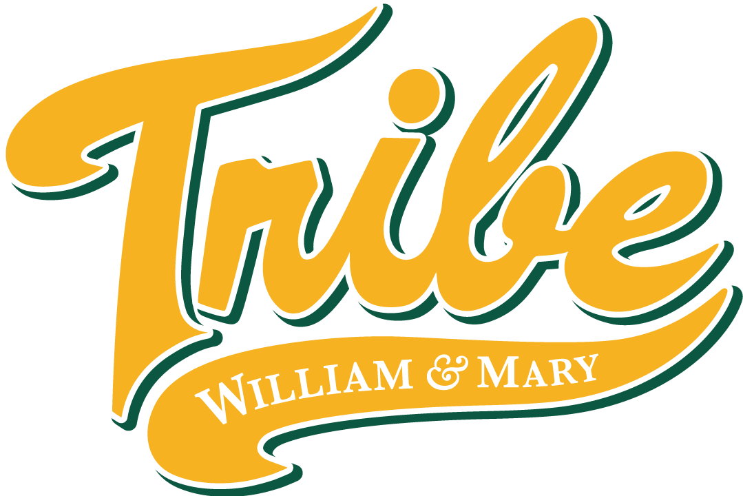 William and Mary Tribe 2016-2017 Alternate Logo v2 diy DTF decal sticker